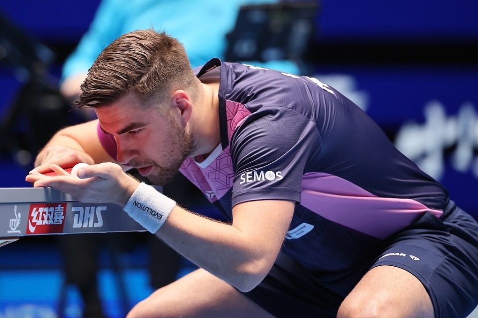 充满了观赏 充满了观赏