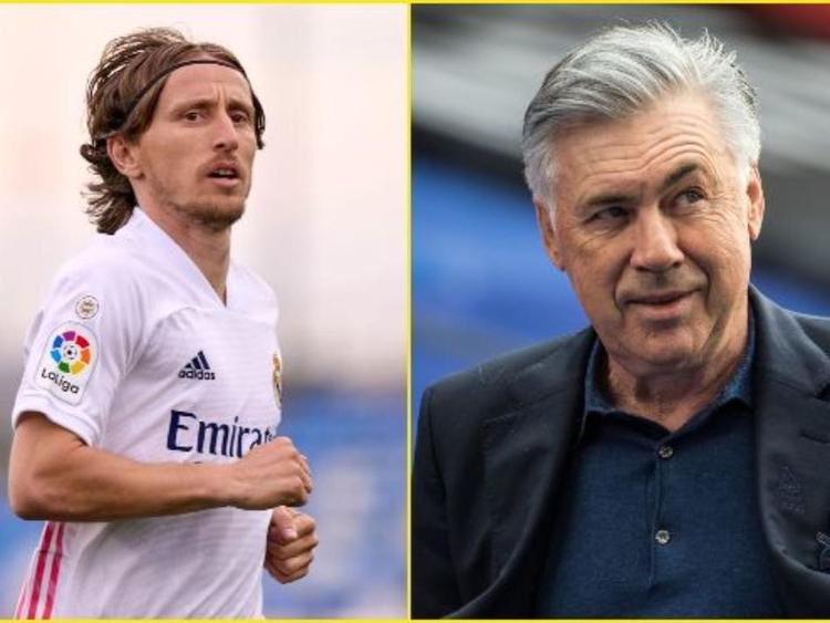 提供了从 提供了从